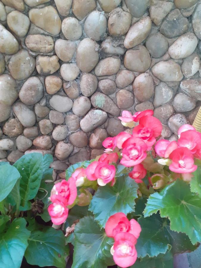 Pousada Recanto Das Flores Moitas Εξωτερικό φωτογραφία